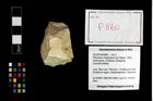 Foto (Objekt + Etikett) von Pithonoton marginatum (von Meyer, 1842)  (NHMW-GEO-2014-0194-0860)
